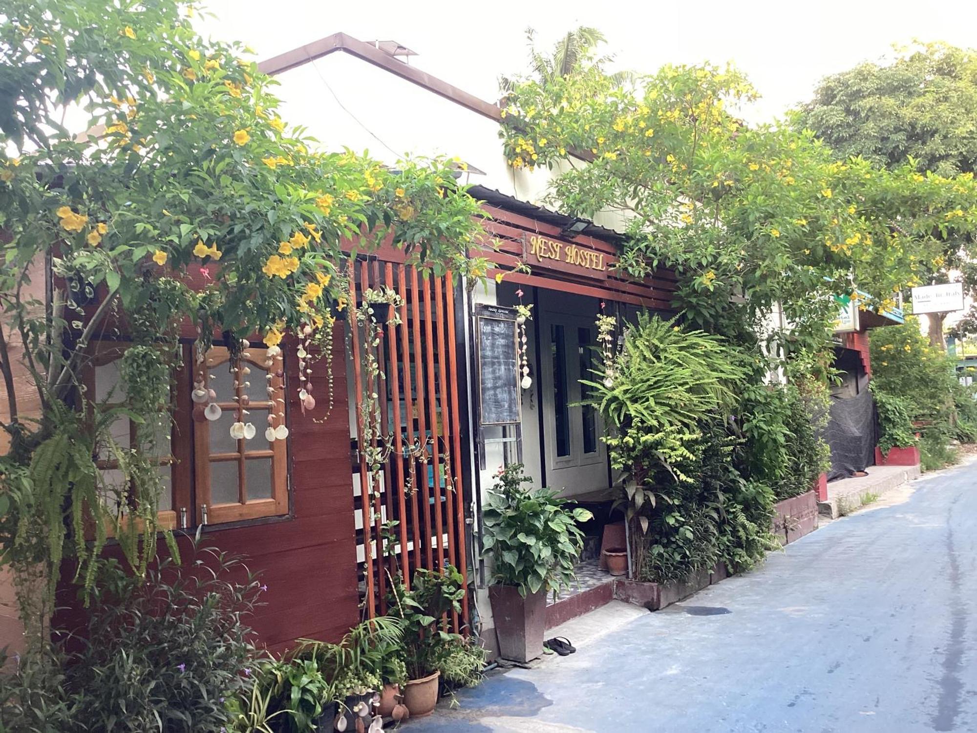 Nest Hostel Lipe Экстерьер фото