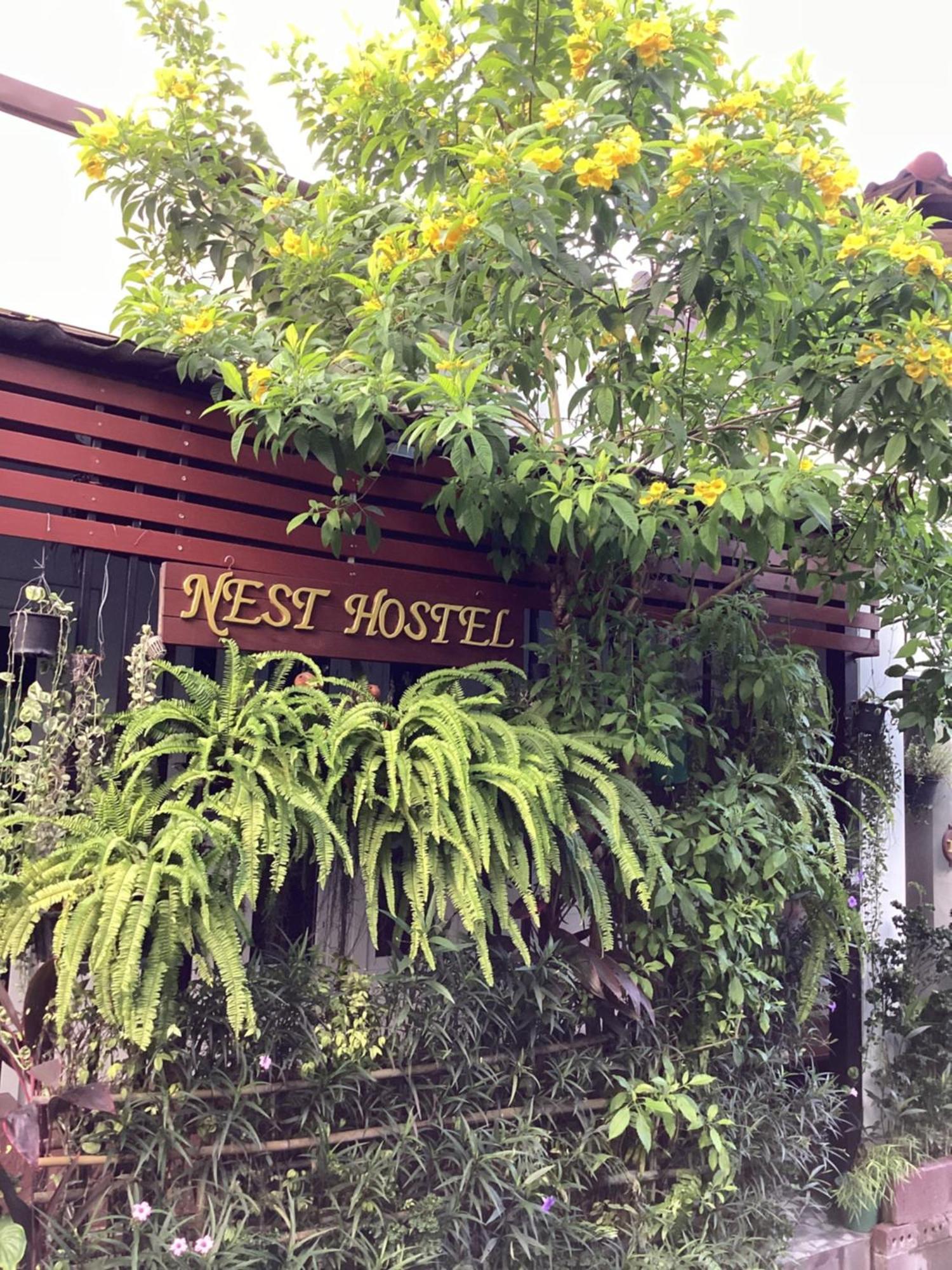 Nest Hostel Lipe Экстерьер фото