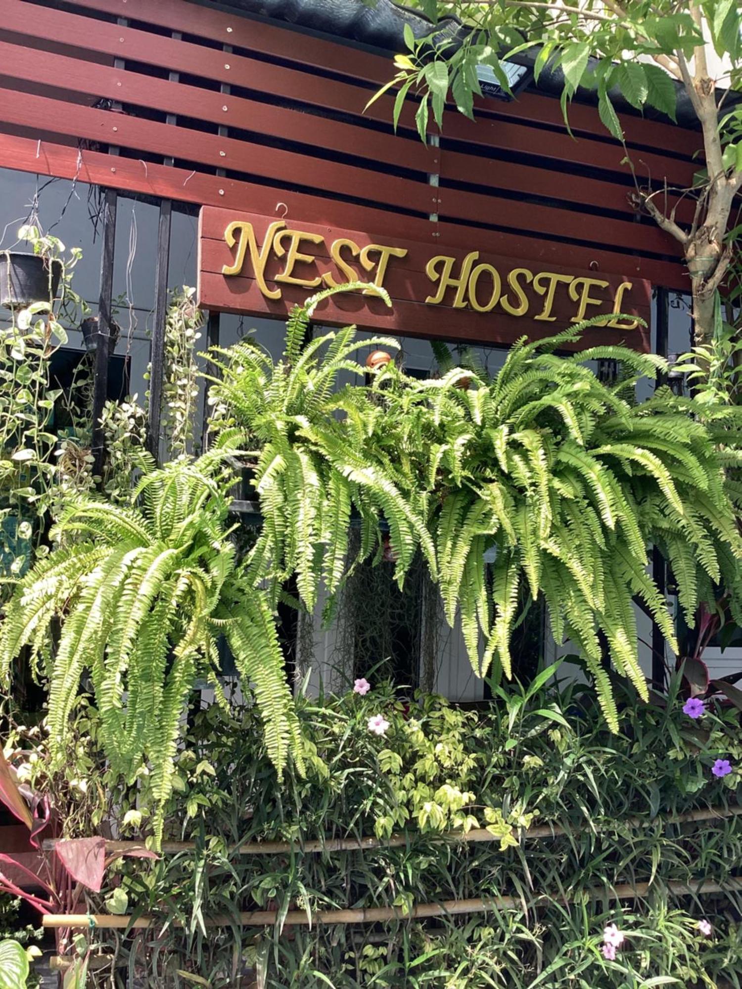 Nest Hostel Lipe Экстерьер фото