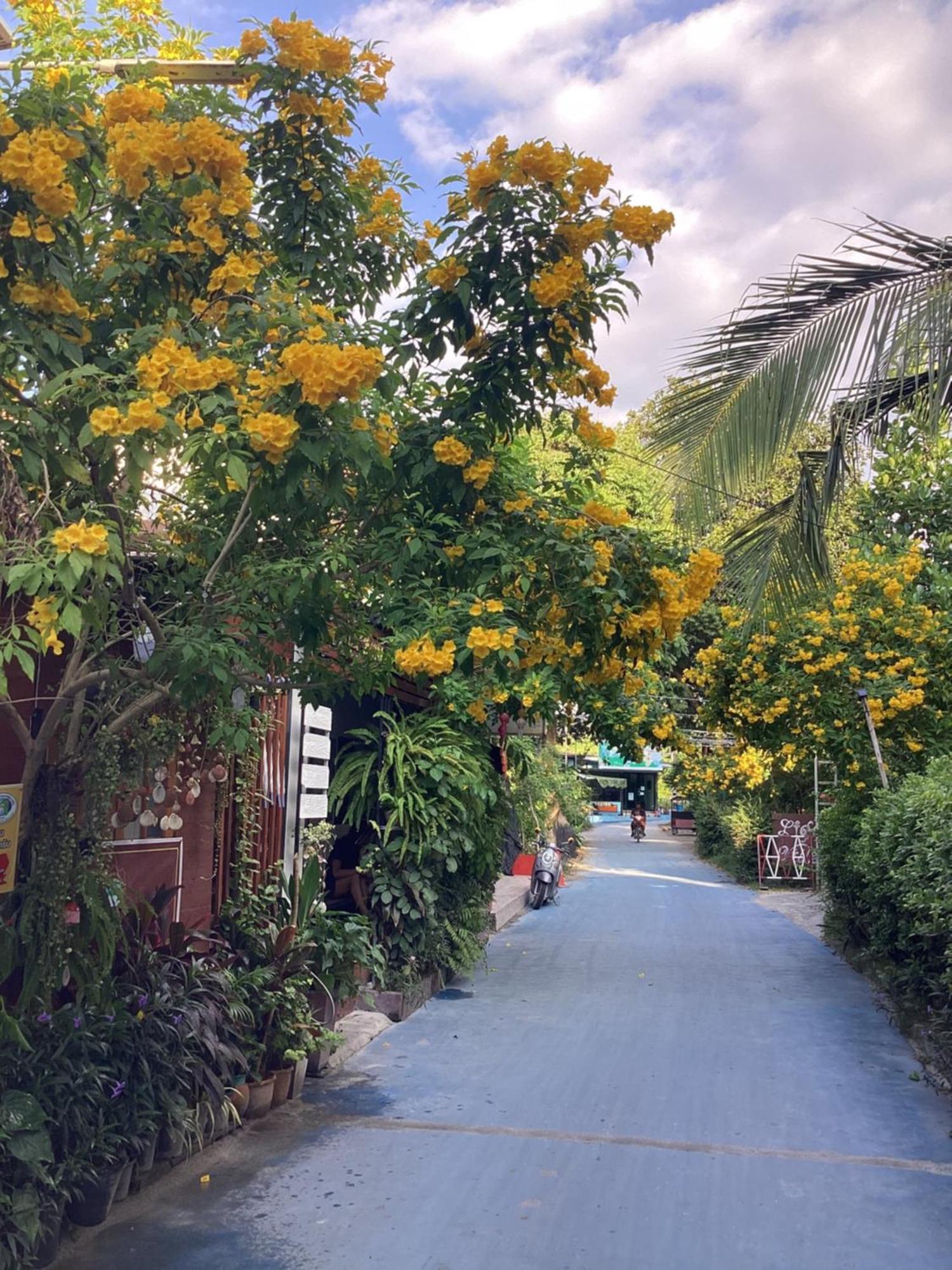 Nest Hostel Lipe Экстерьер фото